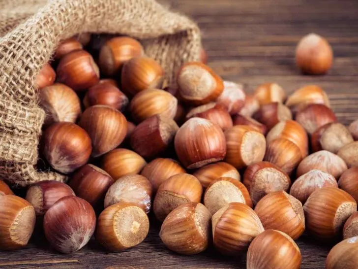 Hazelnuts