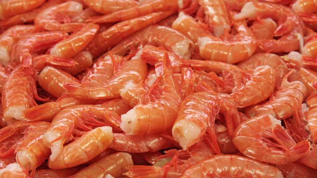 Shrimp tails