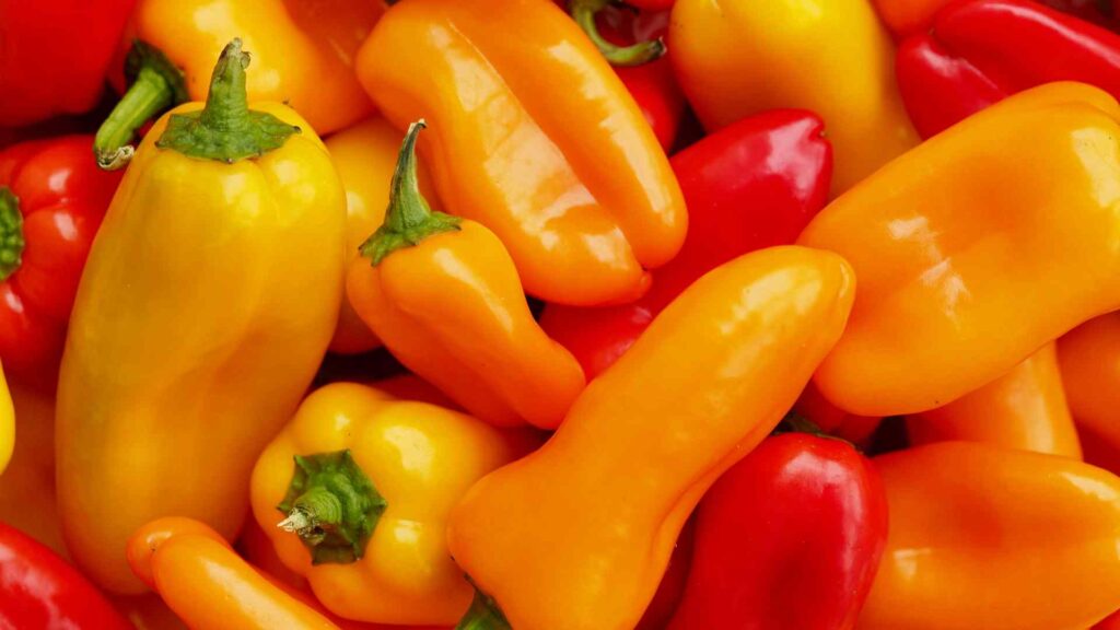 Sweet Peppers