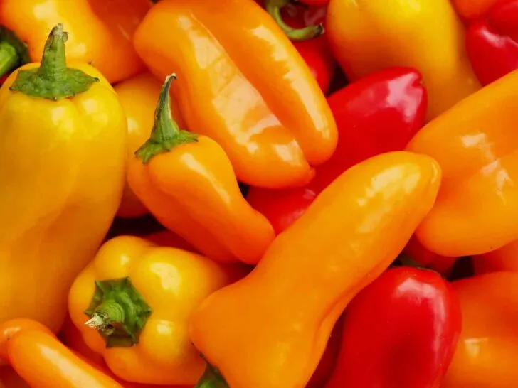 Sweet Peppers