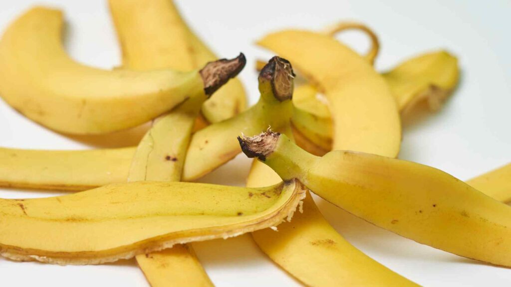 banana peels
