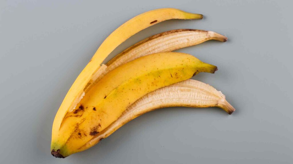 banana peels