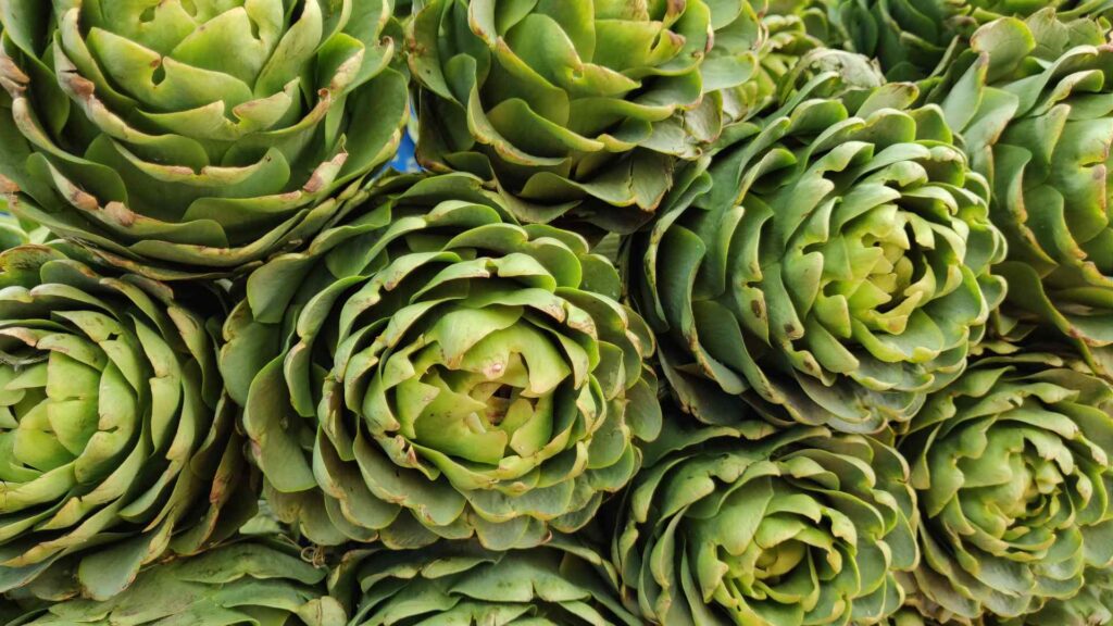 Artichokes