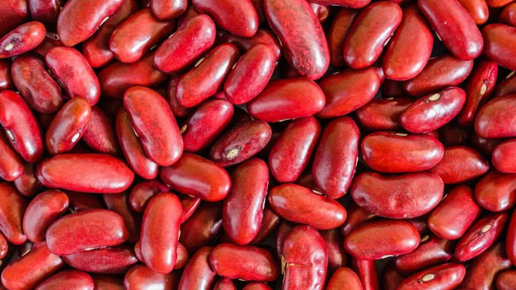 Kidney Beans