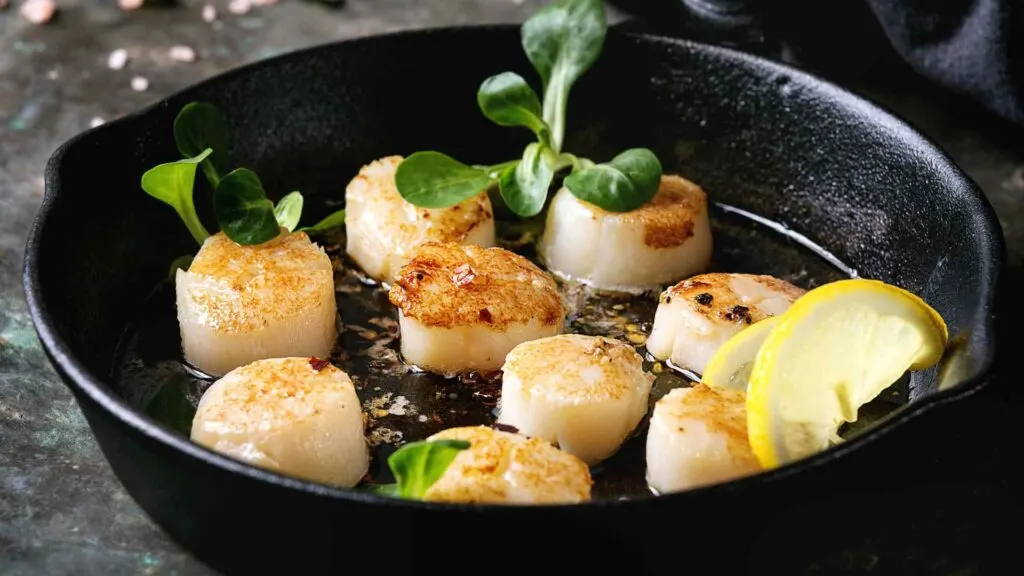 Scallops