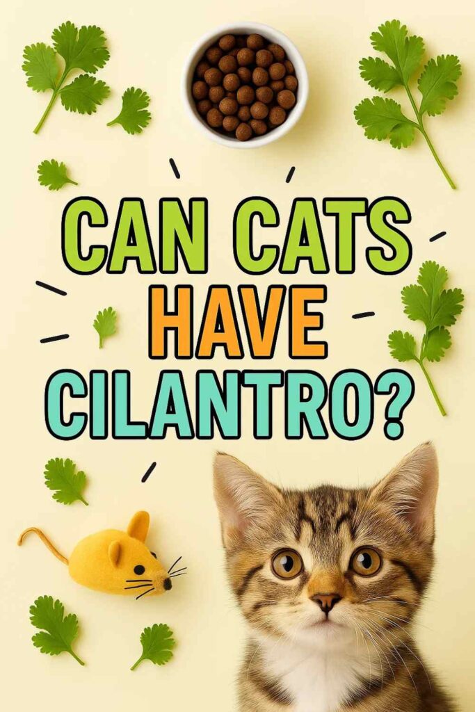 Can cats have cilantro pin
