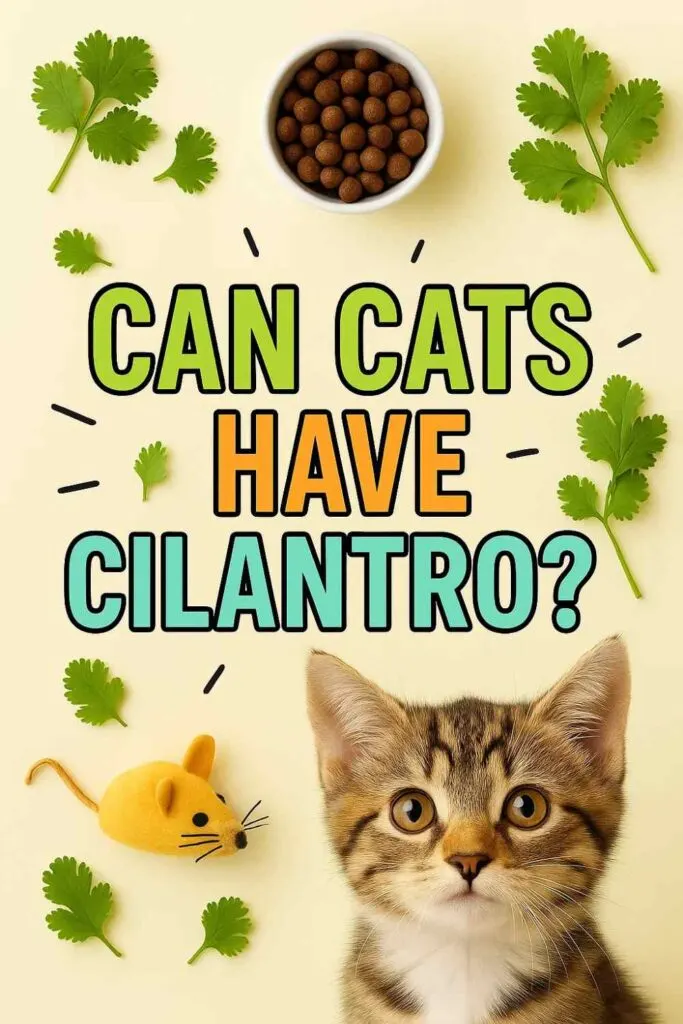 Can cats have cilantro pin