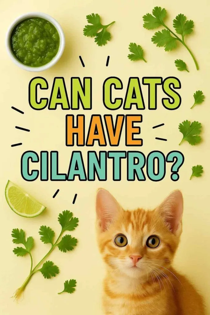 Can cats have cilantro pin