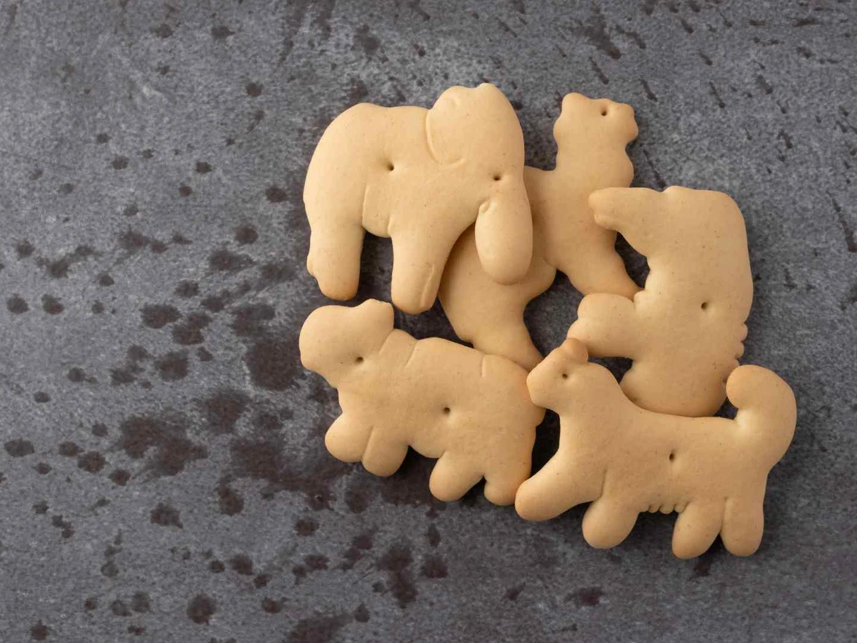 Five animal-shaped crackers sit on a dark gray surface marked with water spots.