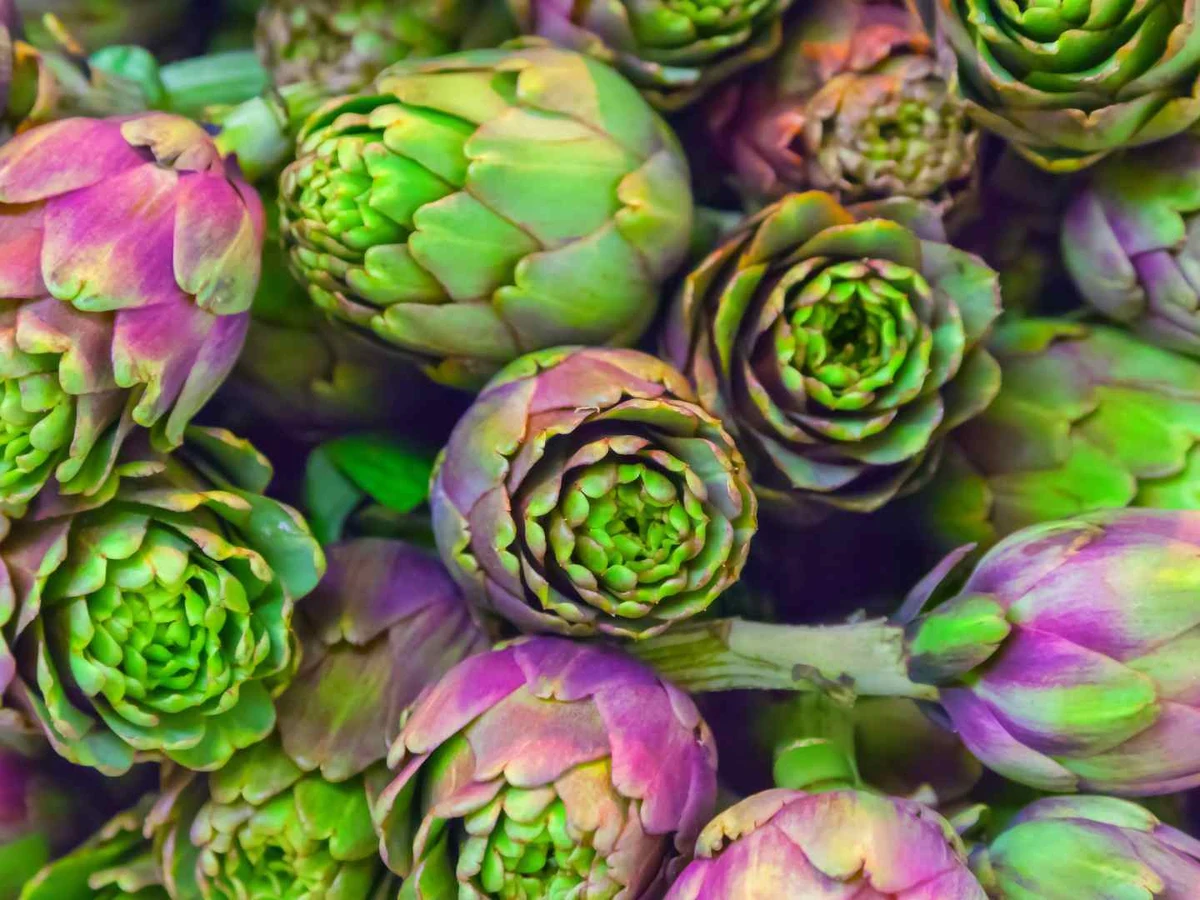 Purple-tipped artichokes packed closely together at a market.