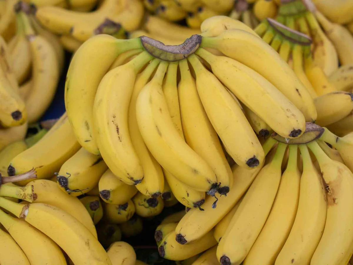 Bunches of ripe yellow bananas at a produce market