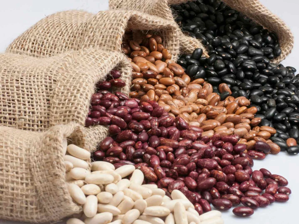 Black, red, white, and brown dried beans spilling from burlap sacks.