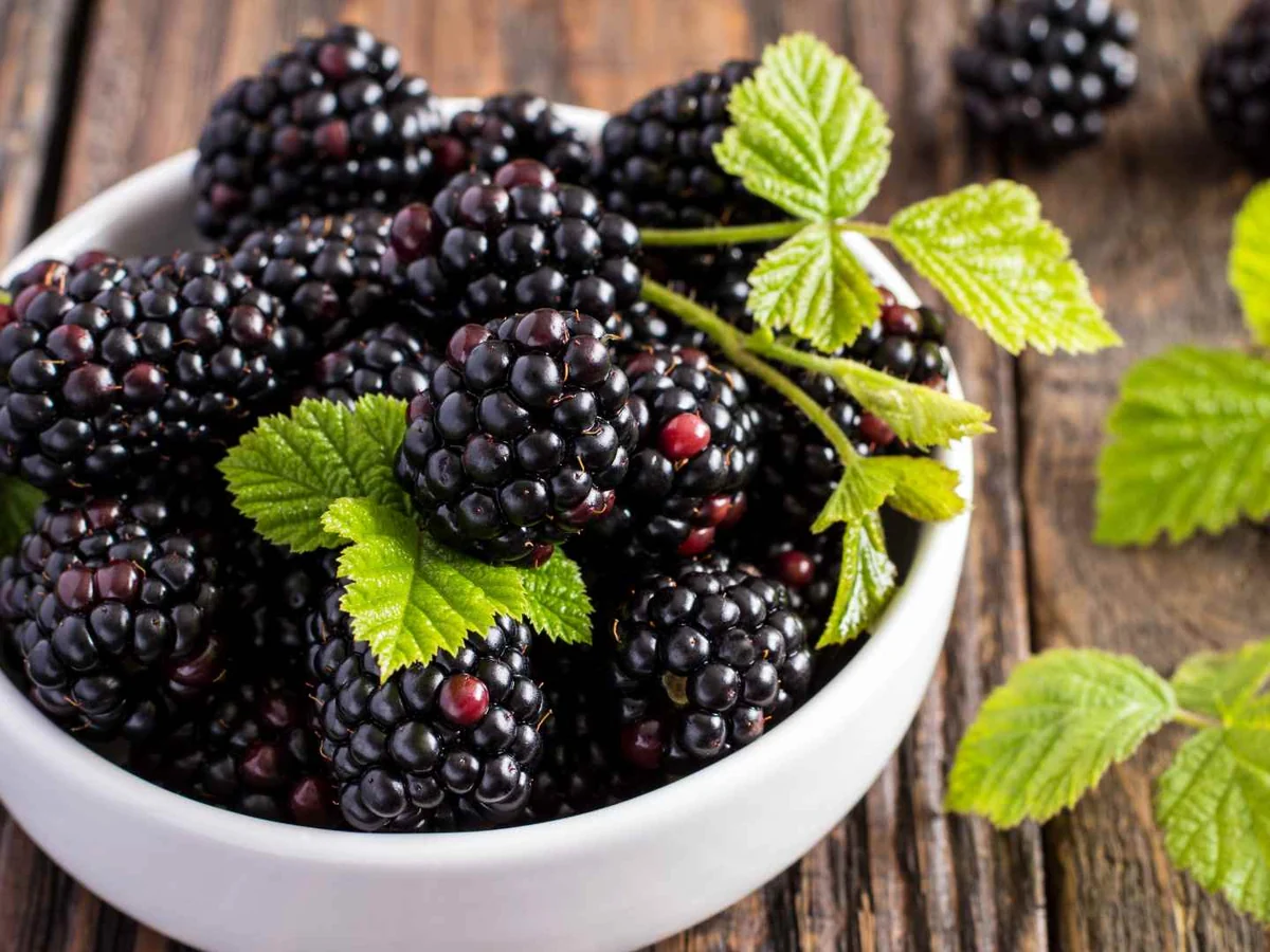 A white bowl of blackberries with mint leaves on a wooden table