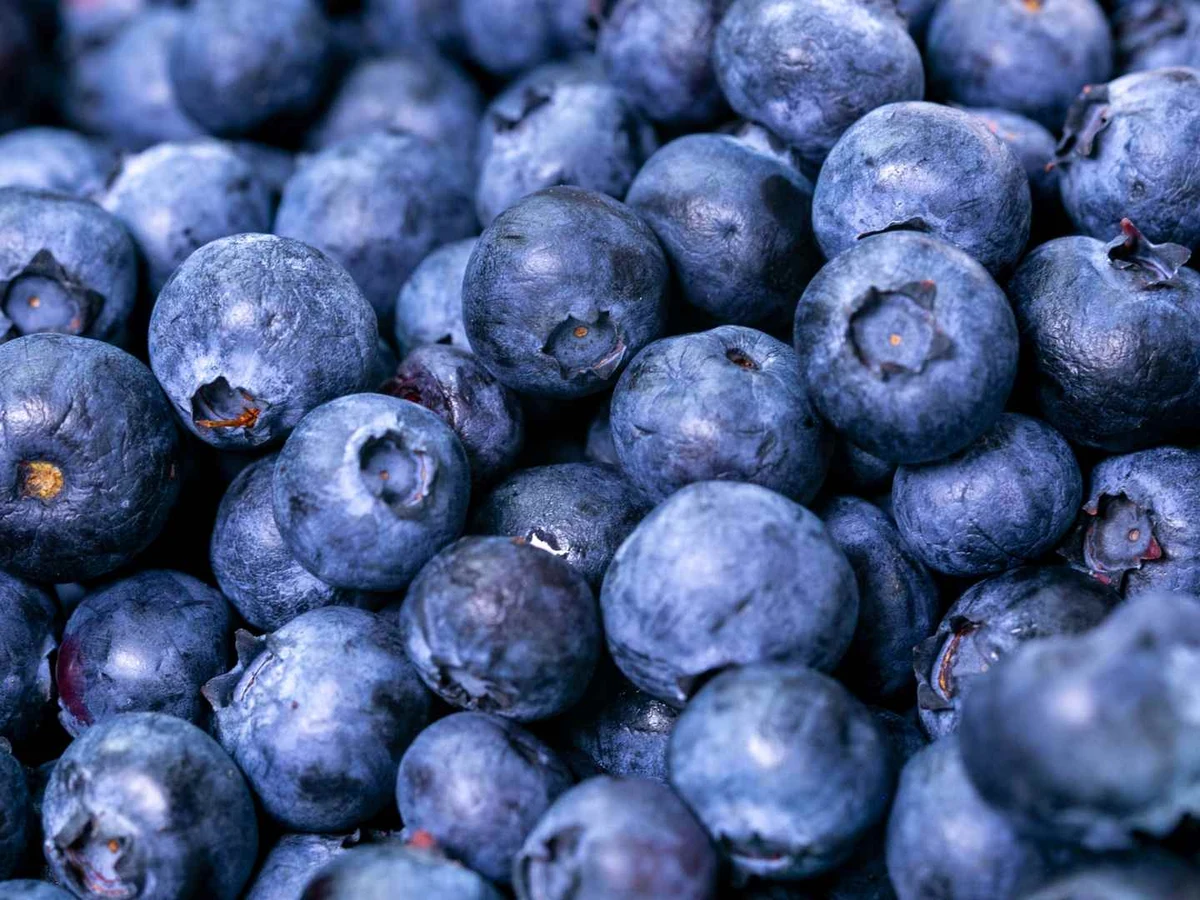 A close-up field of fresh blueberries filling the frame.