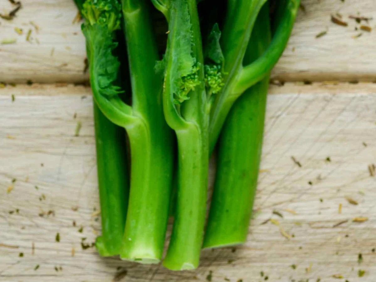 Trimmed green broccoli stems on a pale wooden surface