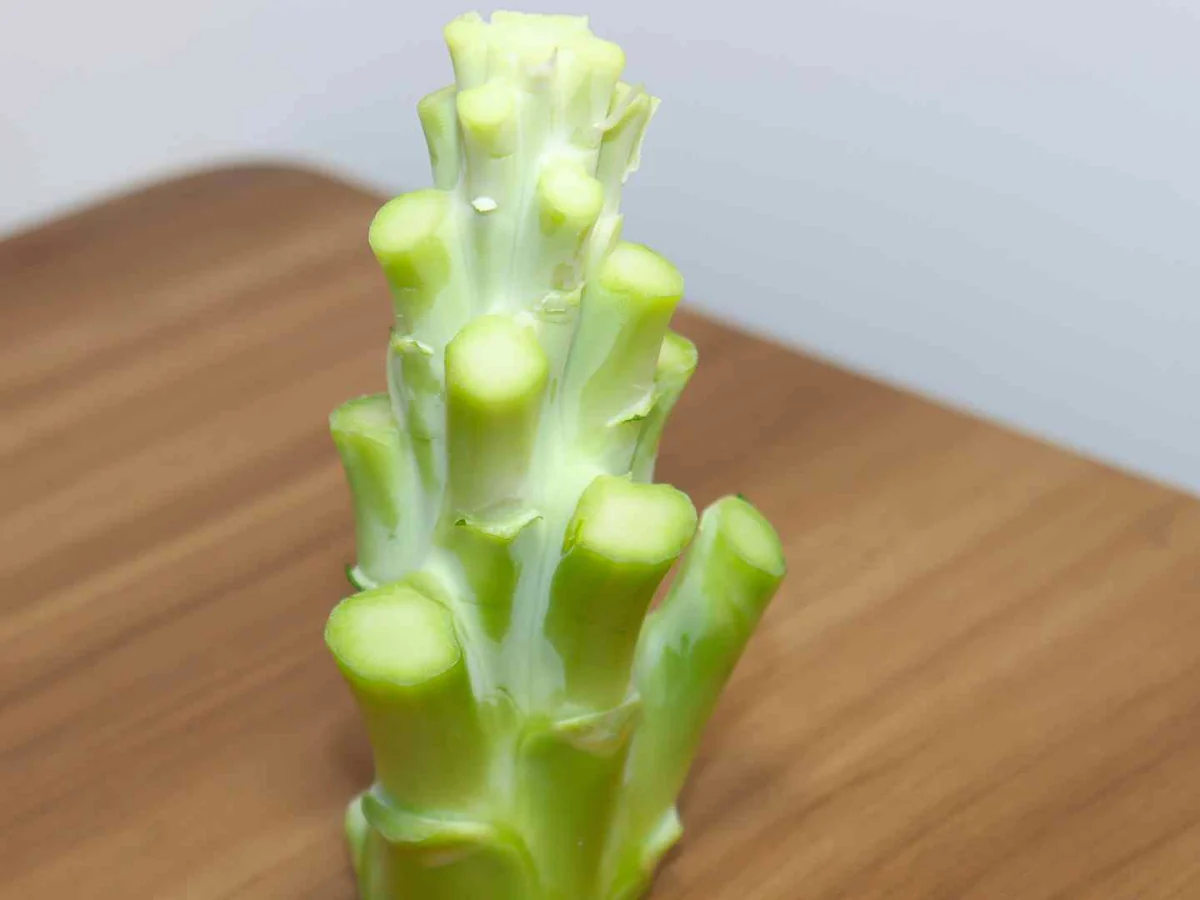 A peeled upright broccoli stem on a wooden table