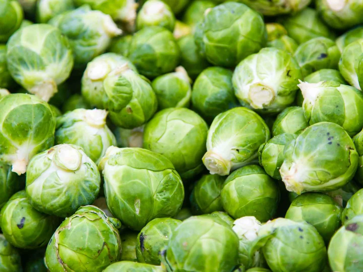 A close pile of raw Brussels sprouts