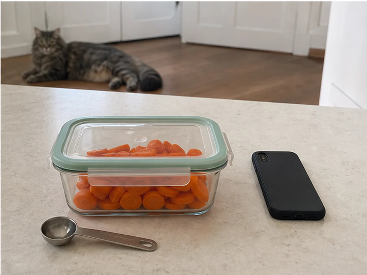 Sealed carrot slices, spoon, and phone with a cat resting away