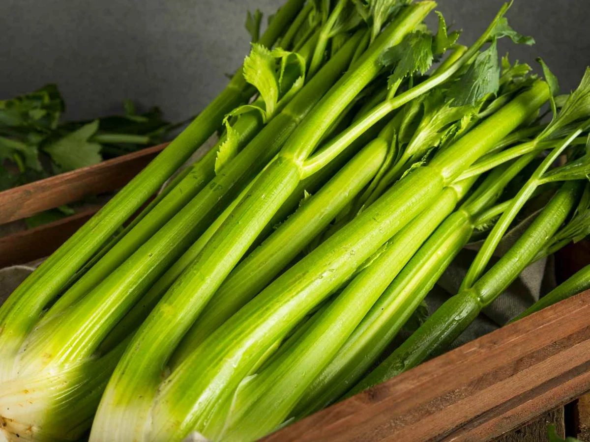 Whole celery stalks with leafy tops arranged in a wooden crate