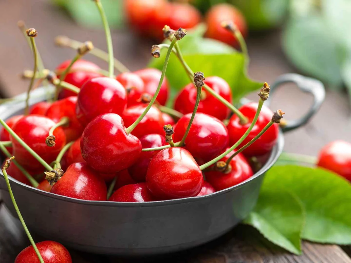 Fresh red cherries piled in a metal bowl beside green leaves