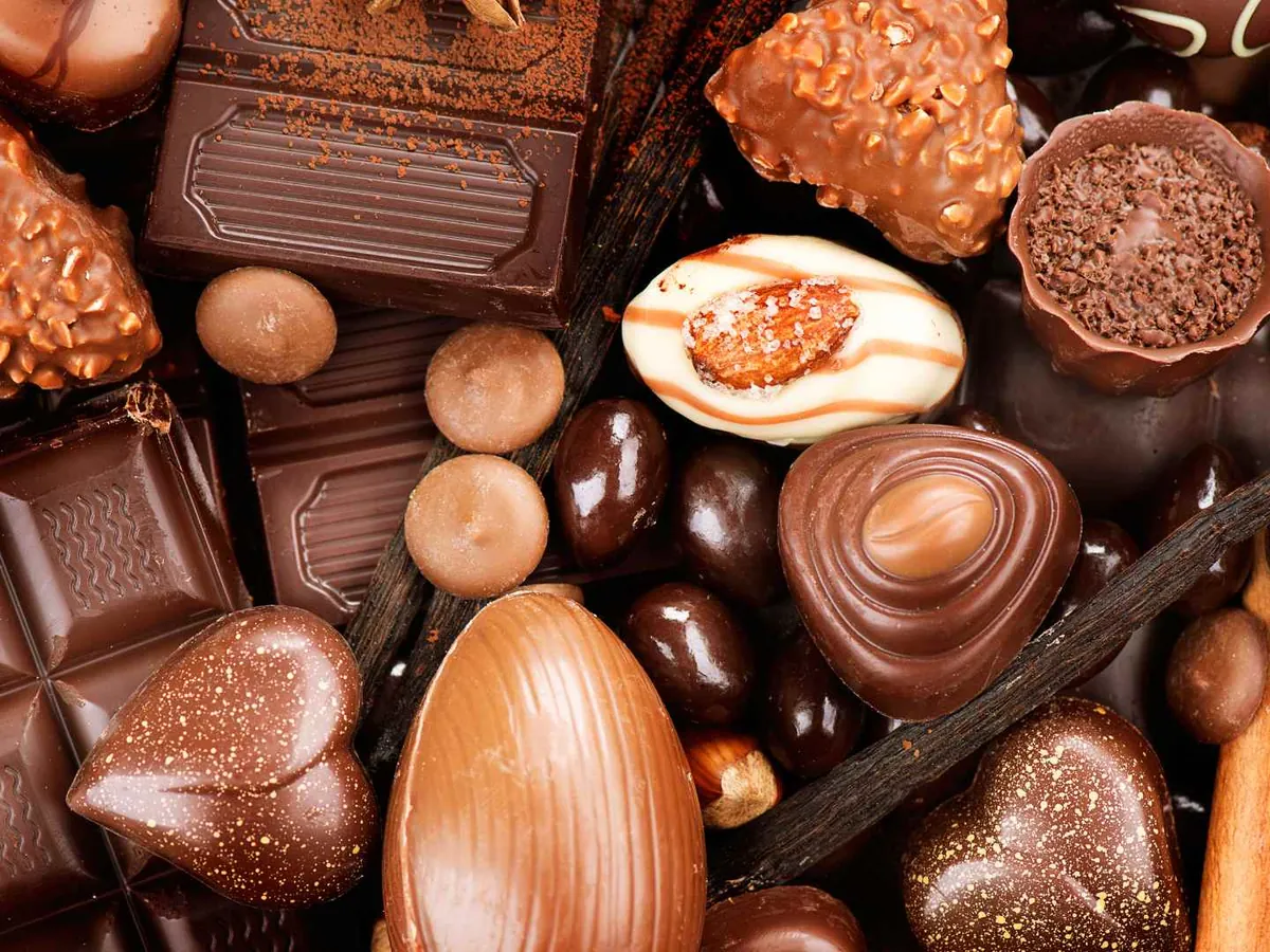 An assortment of chocolate candies, bars, truffles, and nuts