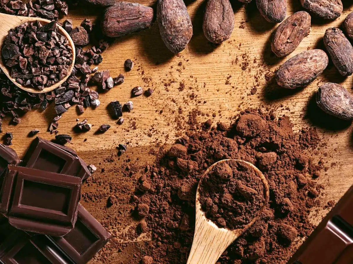 Cocoa powder, cacao pods, beans, and dark chocolate pieces on a table