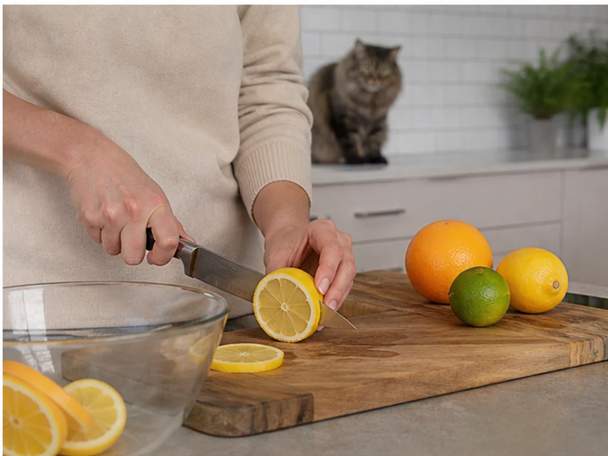 Citrus arranged in a natural kitchen scene