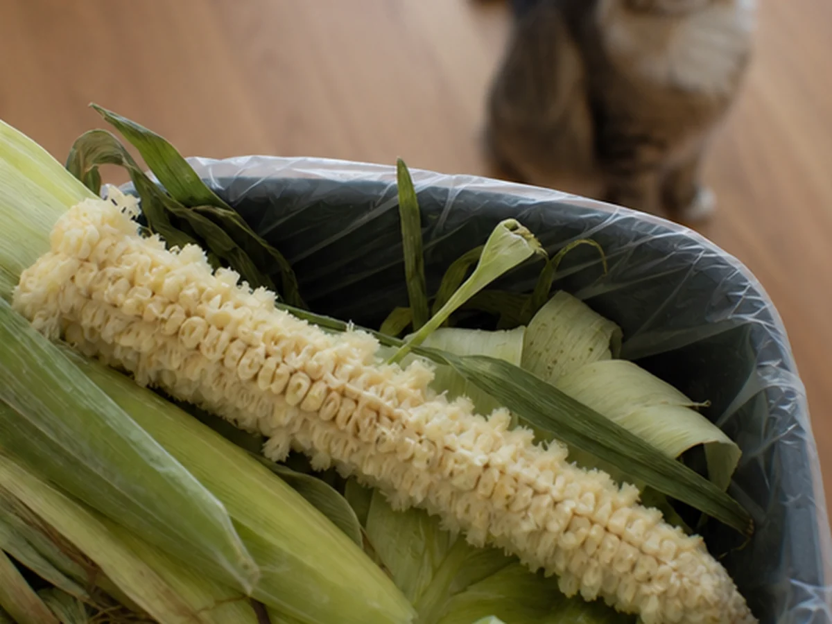 Secure kitchen storage scene involving corn