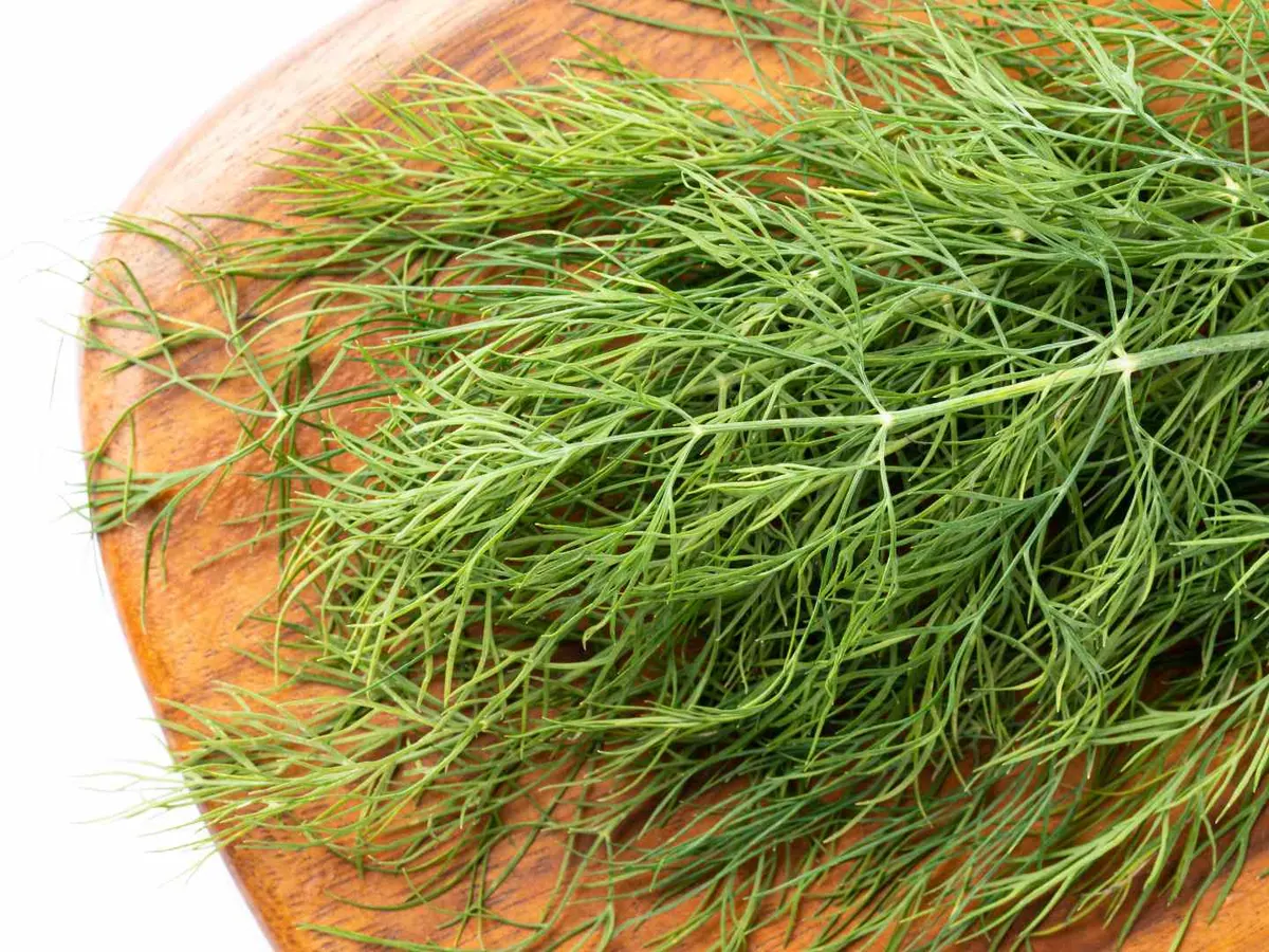 Loose fresh dill fronds spread across a round wooden board.