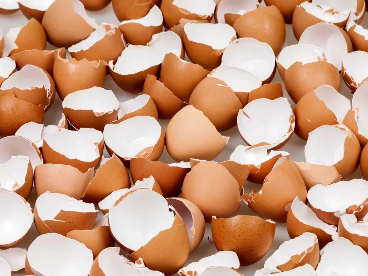 A large pile of broken brown and white eggshell halves.