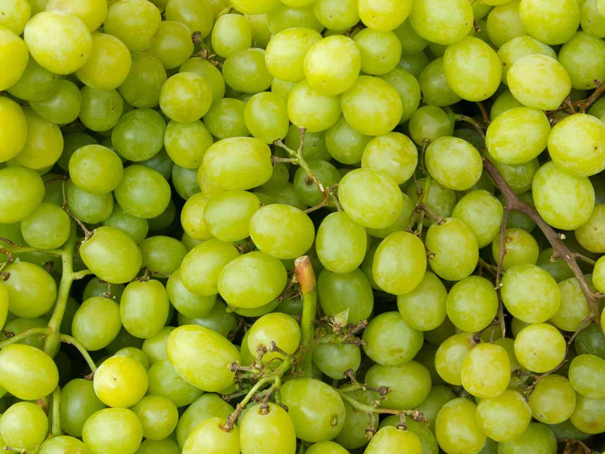 Green grapes fill the entire frame in close-up.