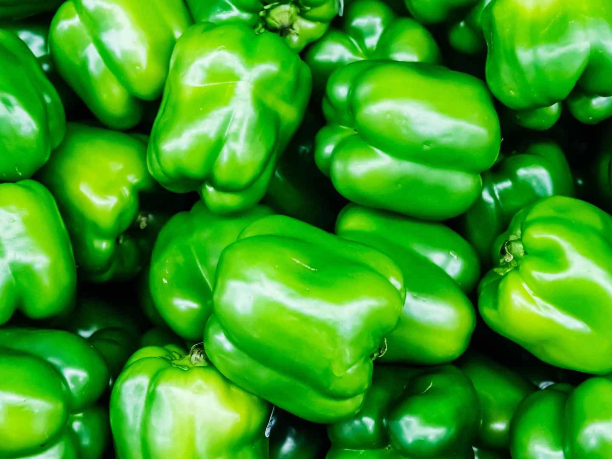 Glossy green bell peppers fill the frame.
