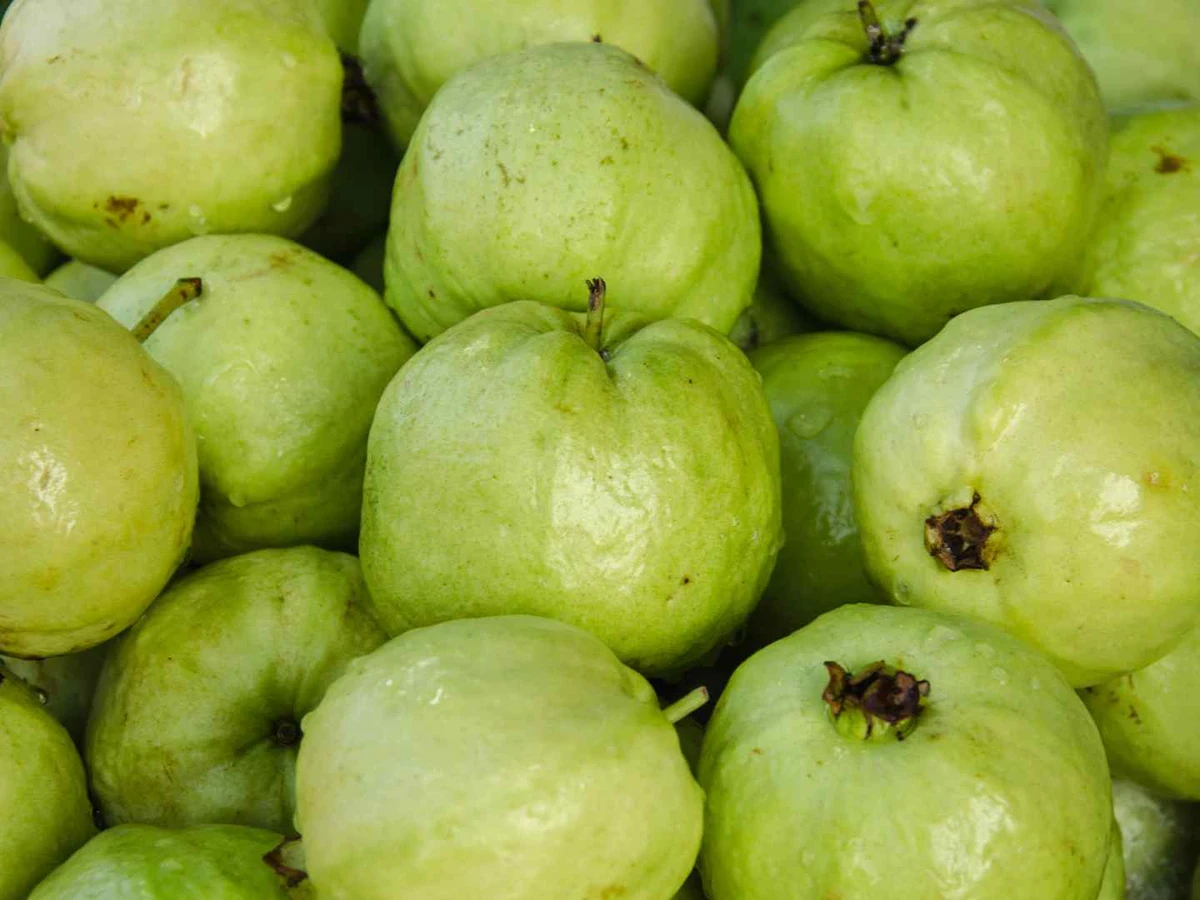 Whole and halved green guavas with pink flesh packed together.
