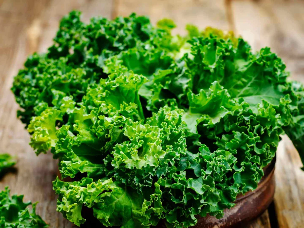 A wooden bowl heaped with curly green kale leaves