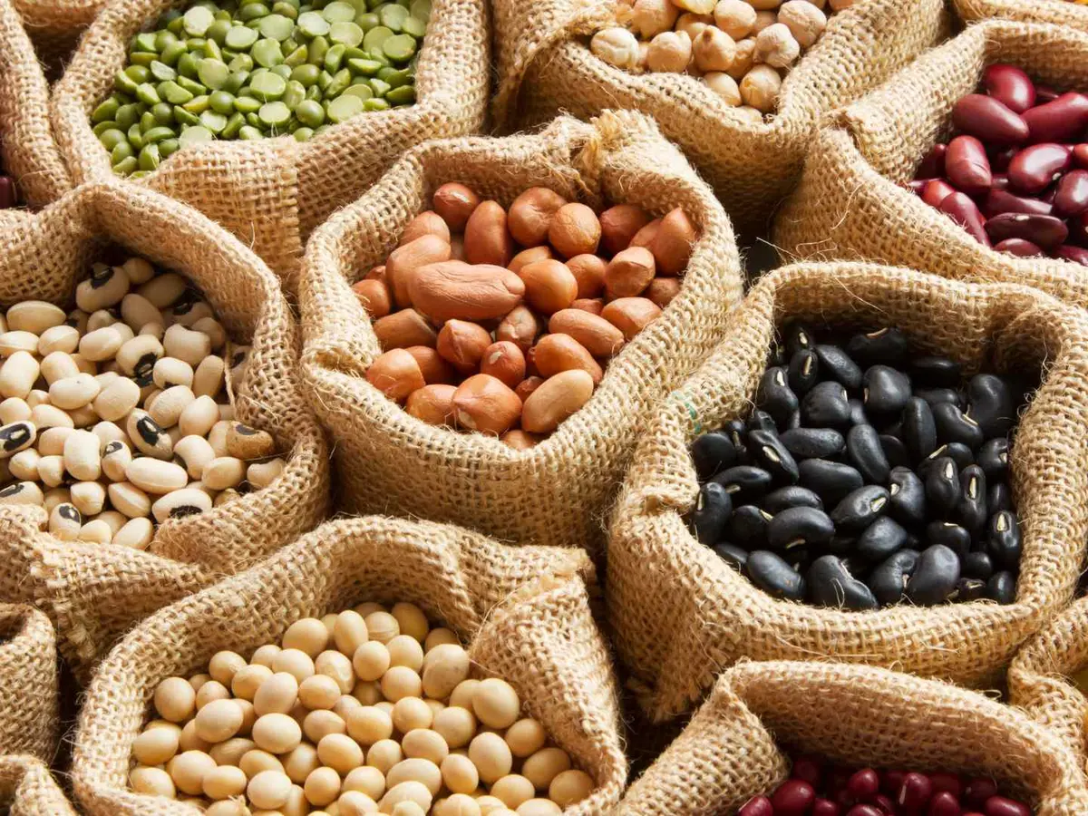 Six bowls holding green, brown, orange, and yellow dried lentils.