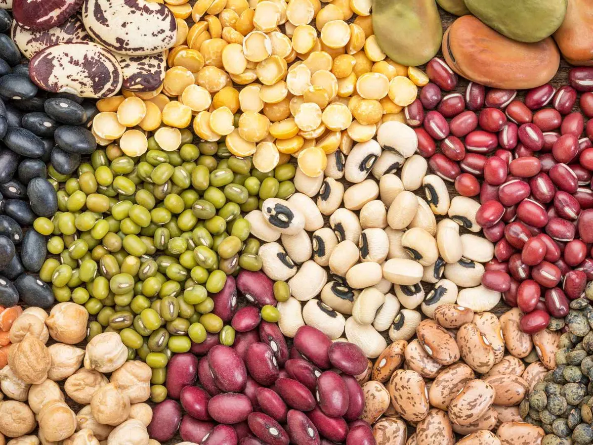 Assorted dried legumes displayed in open burlap sacks.