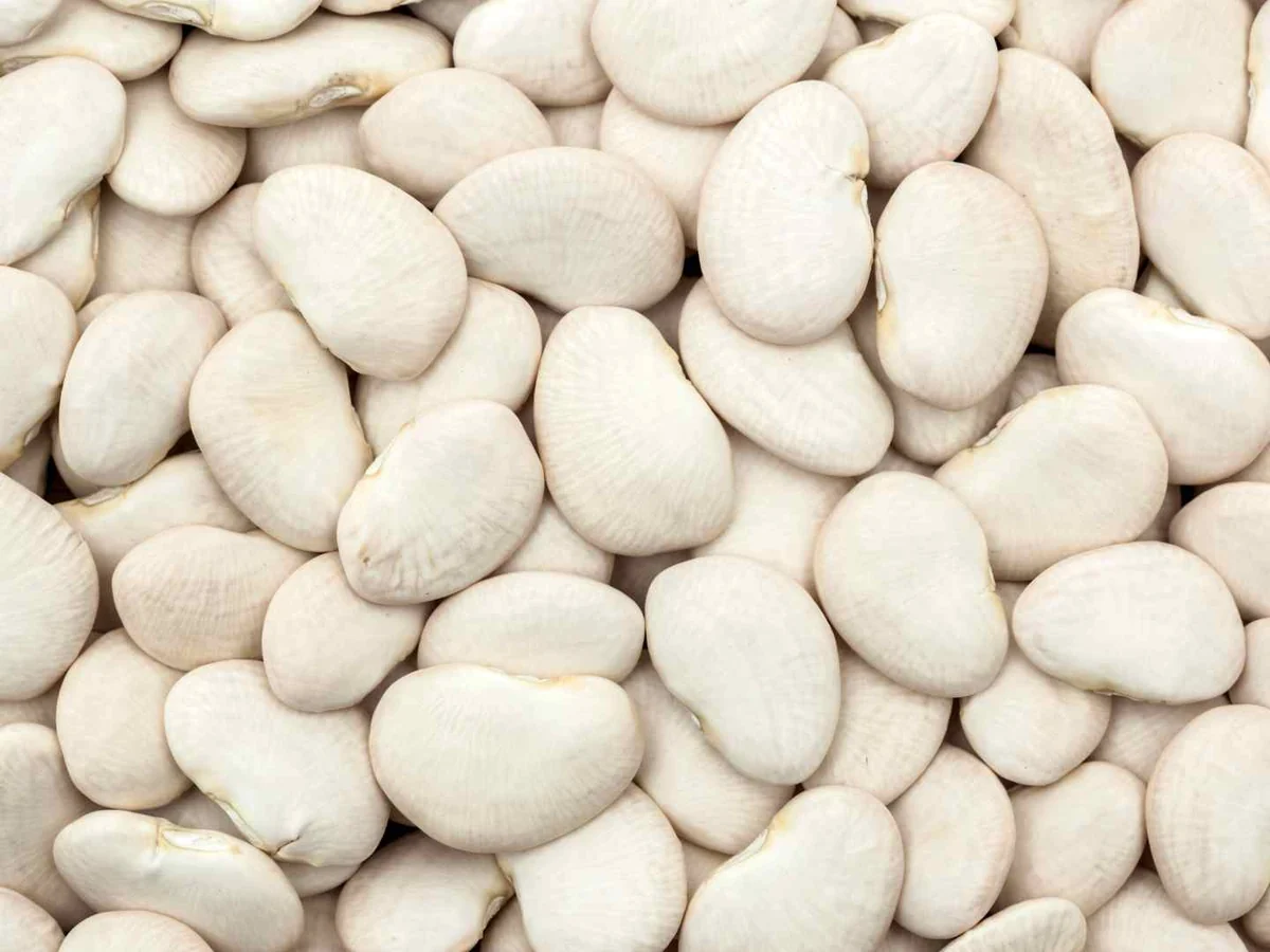 A close pile of dried white lima beans