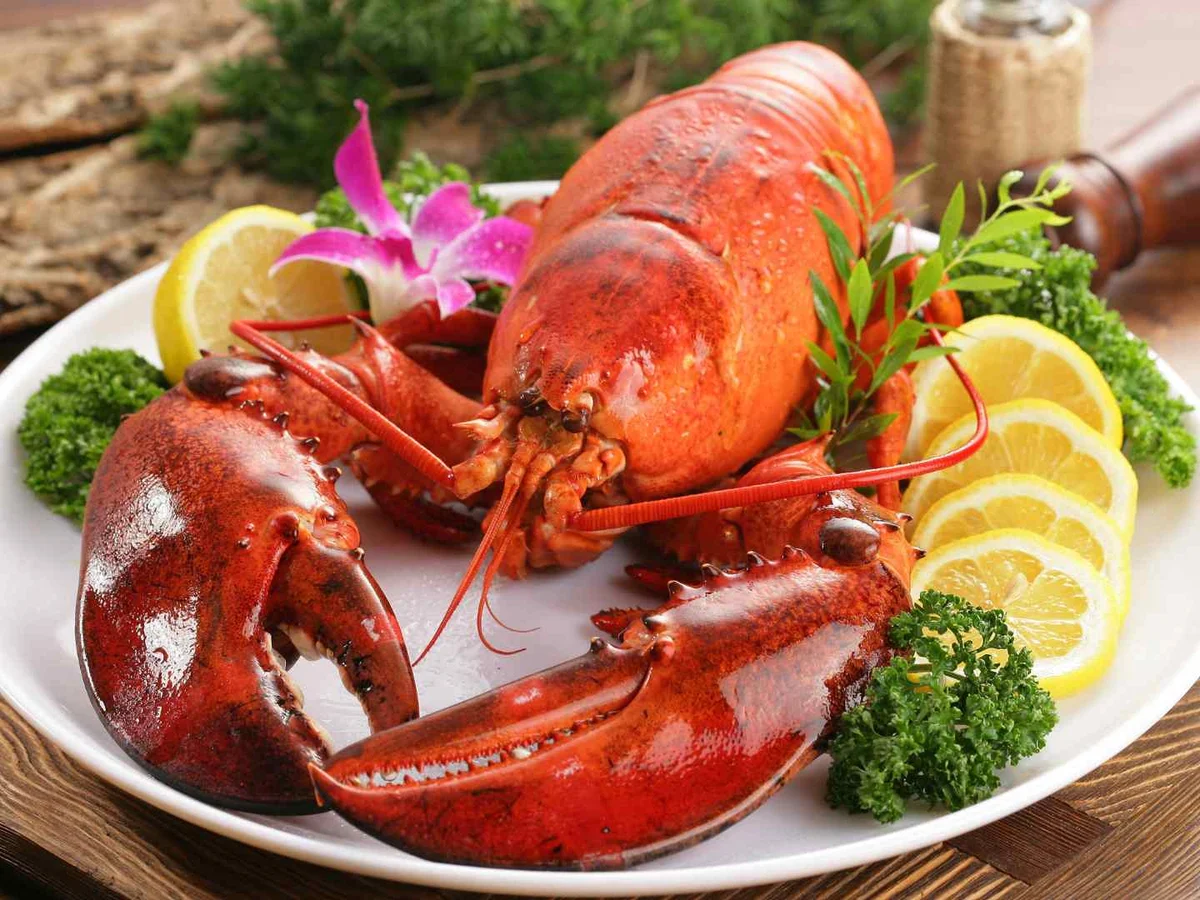 A live dark blue lobster in an aquarium tank.