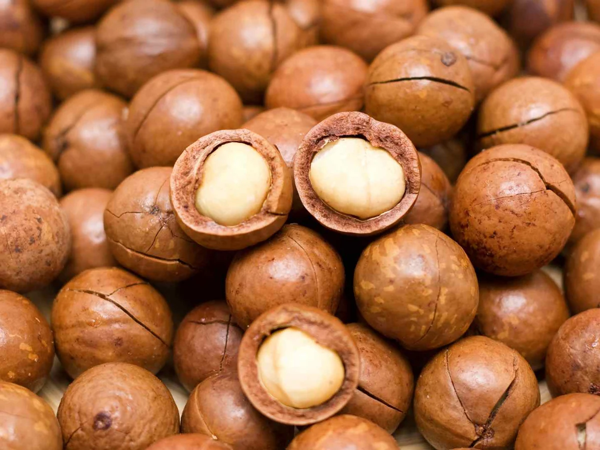 Whole macadamia nuts filling the frame, with one cut open