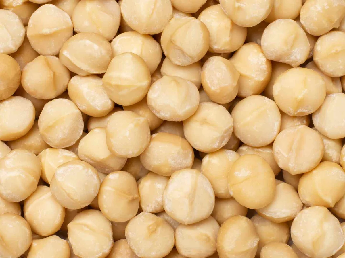 Shelled macadamia nuts filling the frame