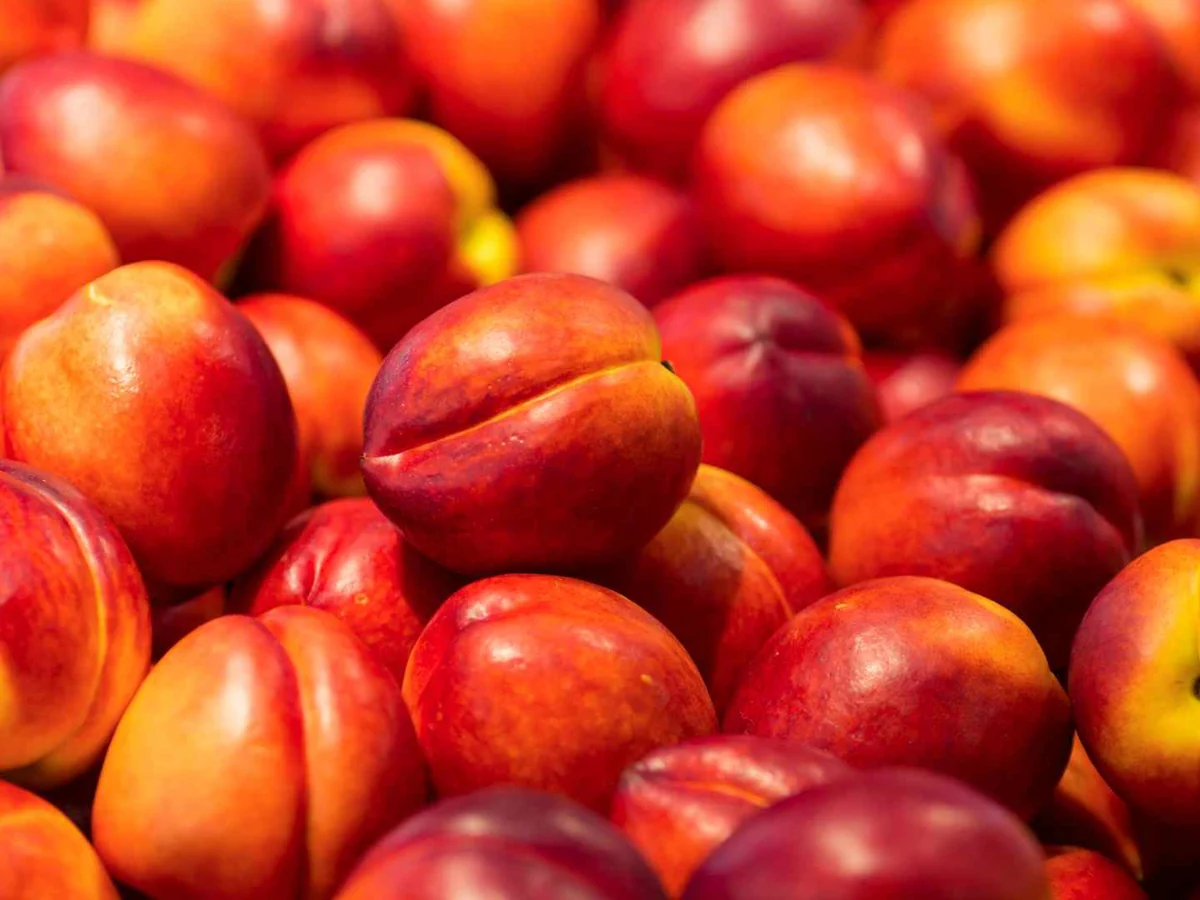 A close pile of whole nectarines