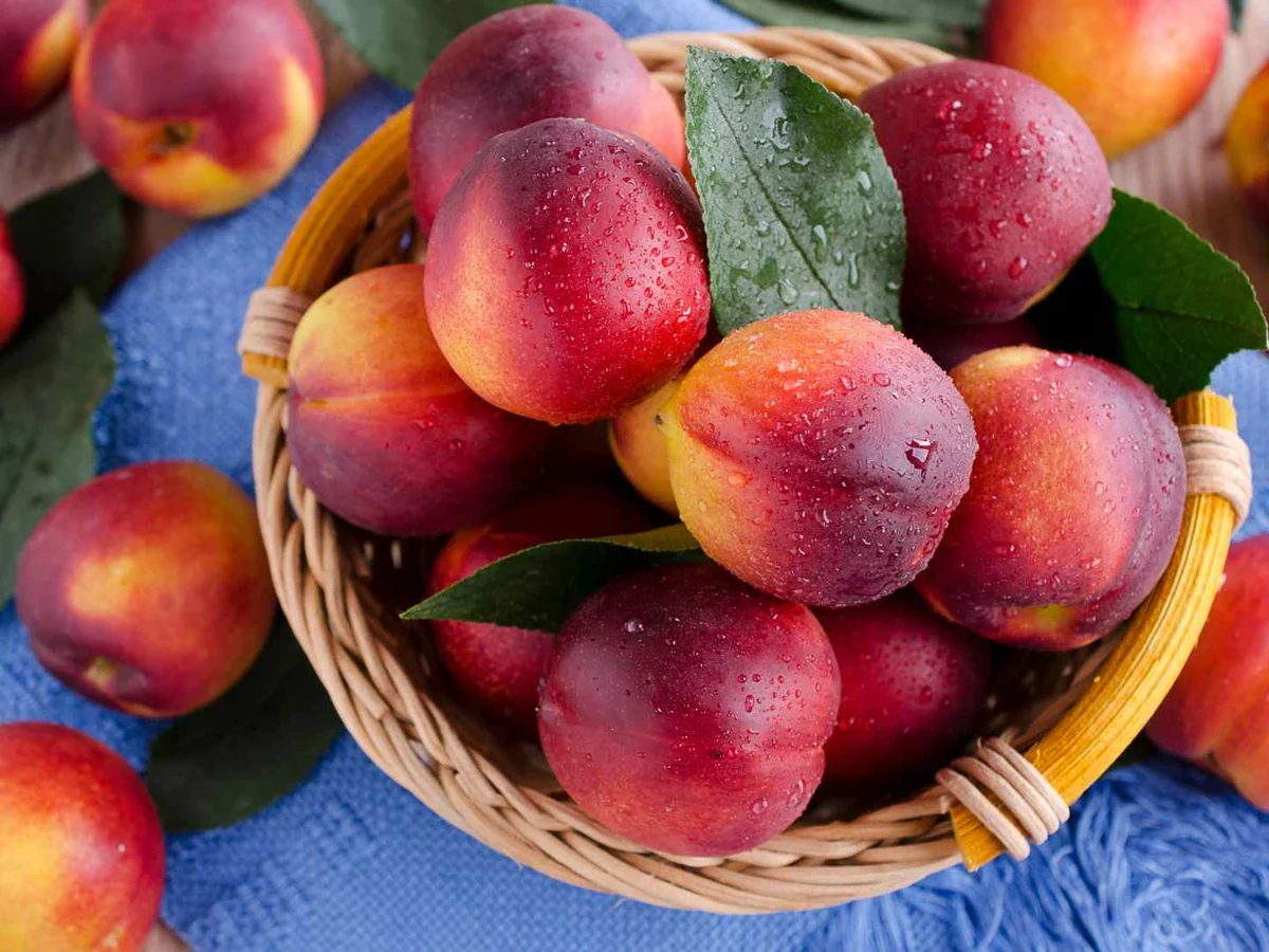 Whole nectarines in a wicker basket