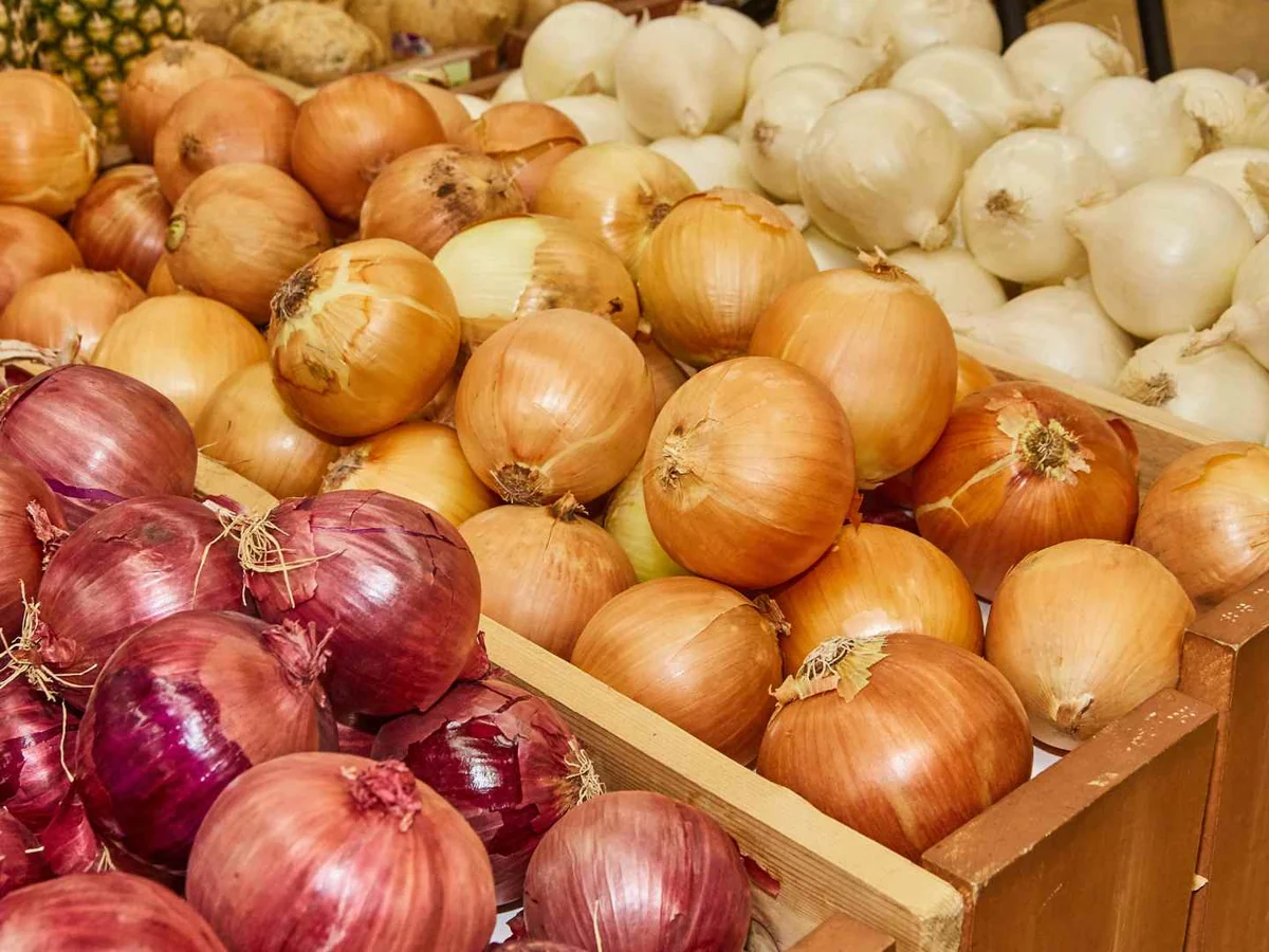 Crates filled with whole yellow, white, red, and purple onions