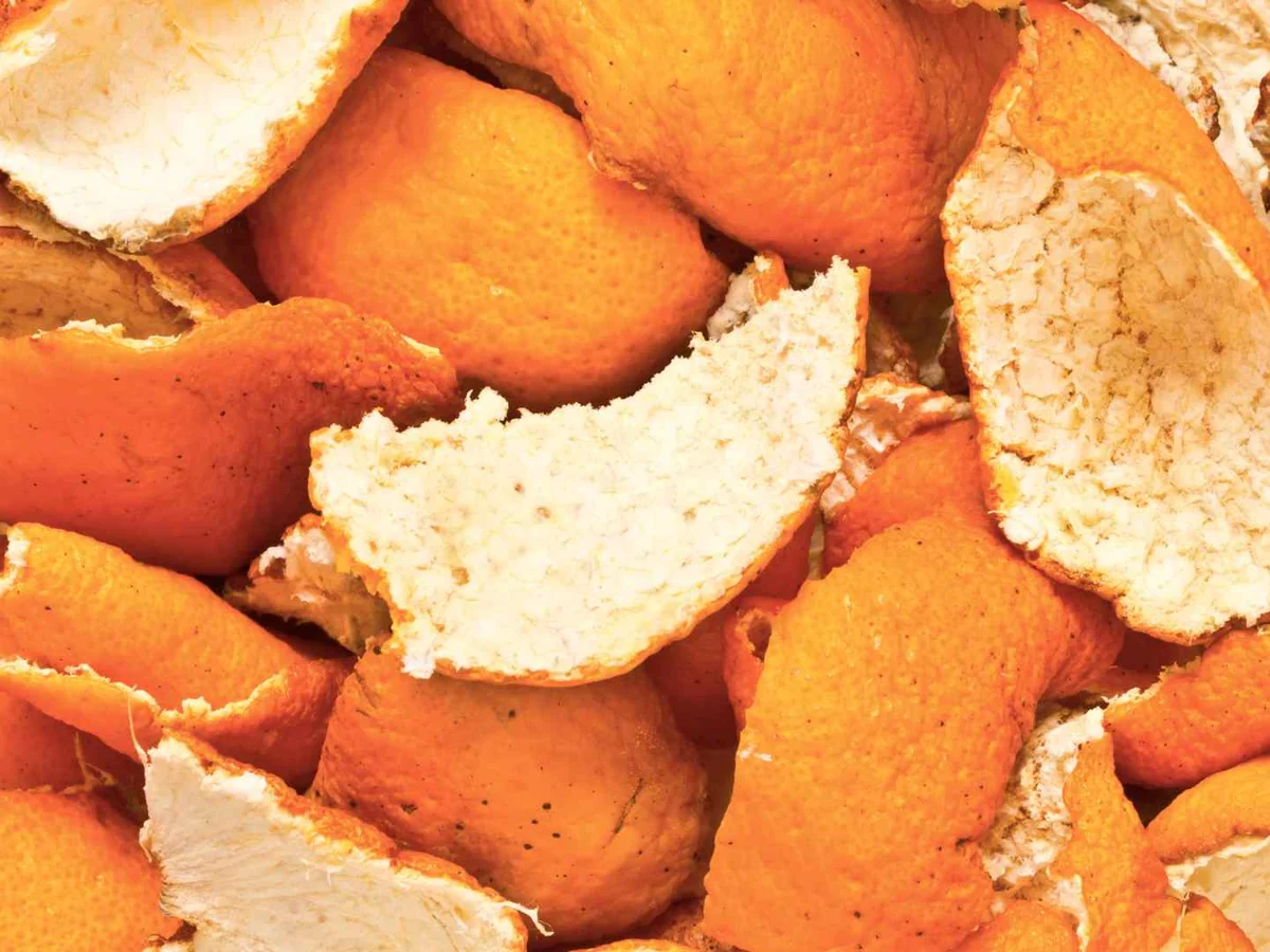A dense pile of orange peels