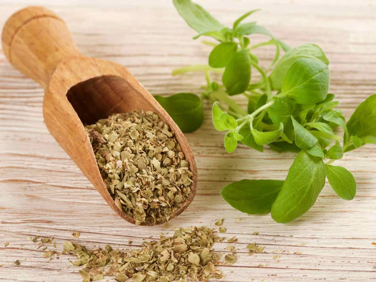 Dried oregano in a wooden scoop beside fresh sprigs