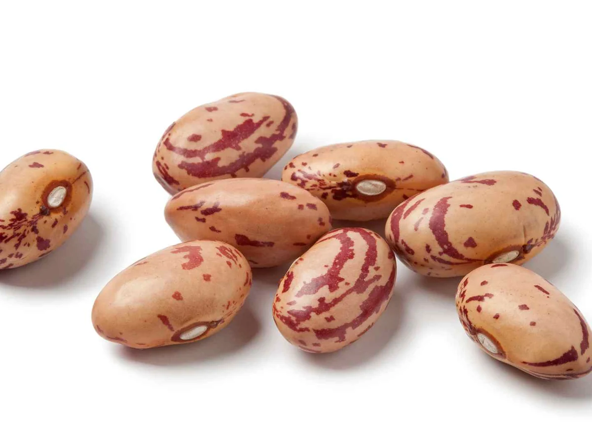 Several dried pinto beans isolated on white