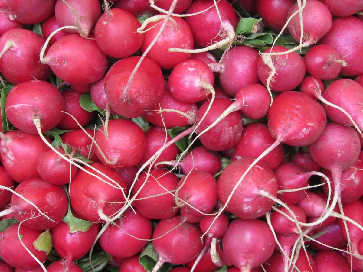 A dense pile of pink-red radishes with roots attached