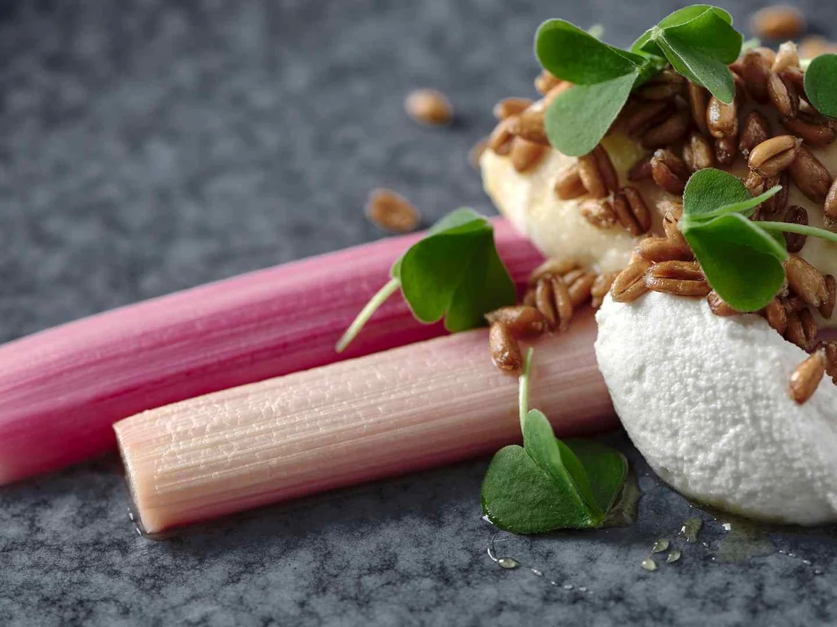 Rhubarb stalks topped with soft cheese, seeds, and greens