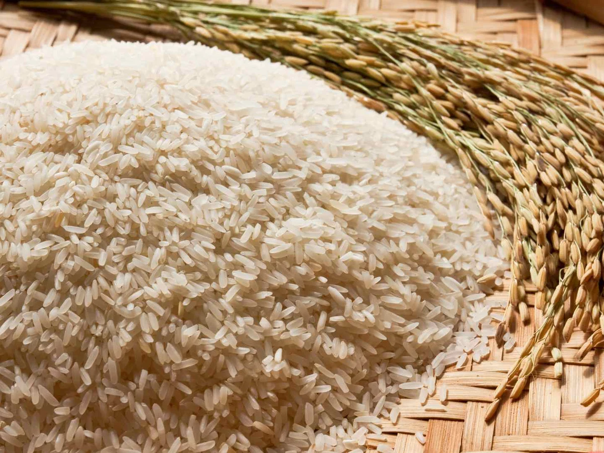 A broad mound of uncooked white rice on a woven tray with rice stalks.