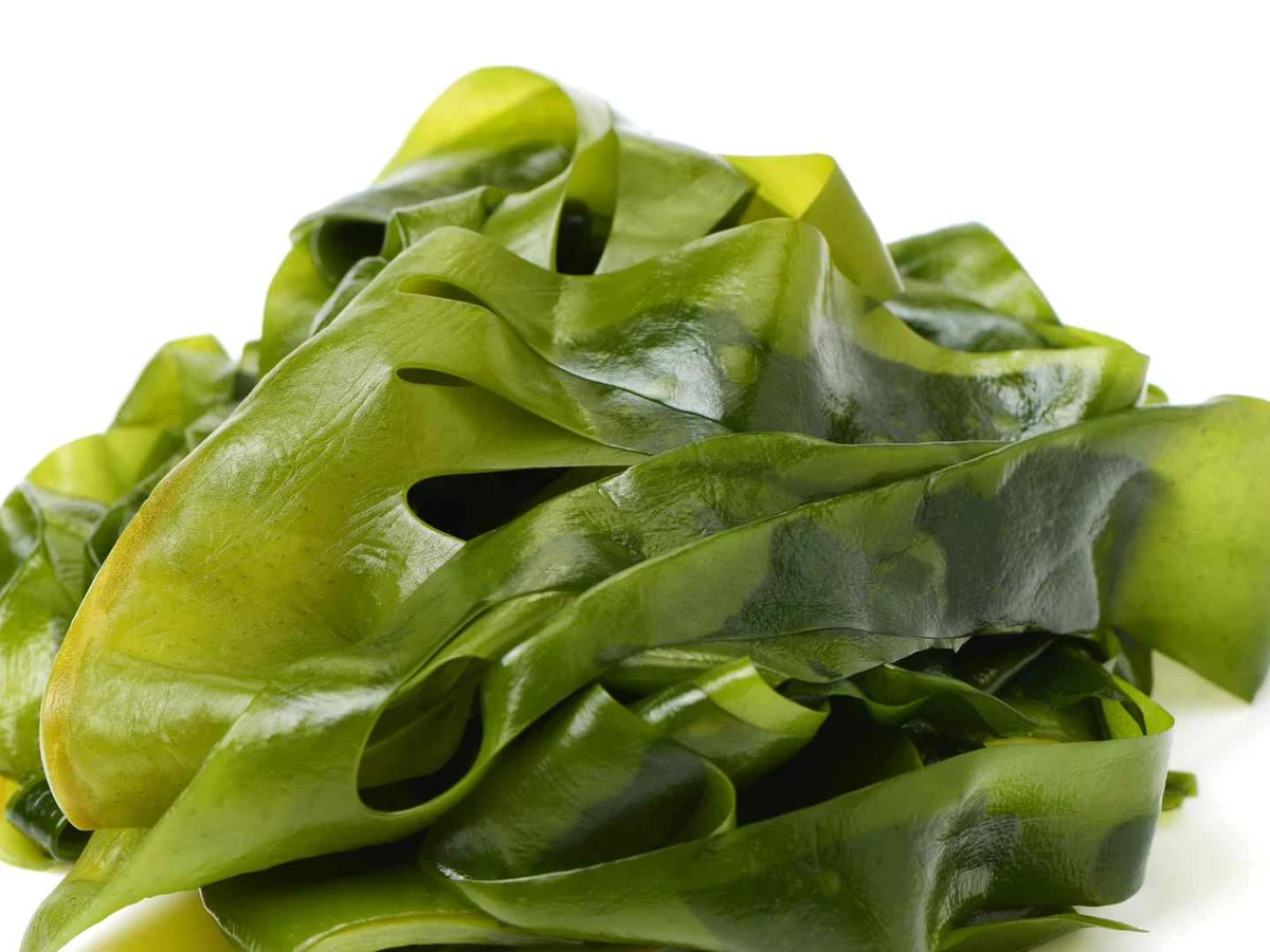 Glossy green seaweed ribbons arranged on a white background.